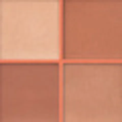 Show By Pastel Show Your Mood Blush Set Wild