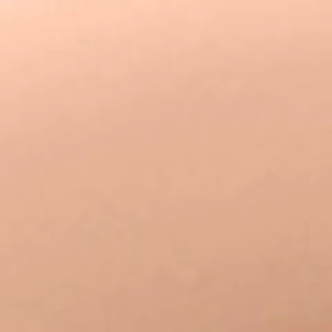 Wet n Wild مرطب ويت أند وايلد بير فوكس الملون ترطيب وتغطية
