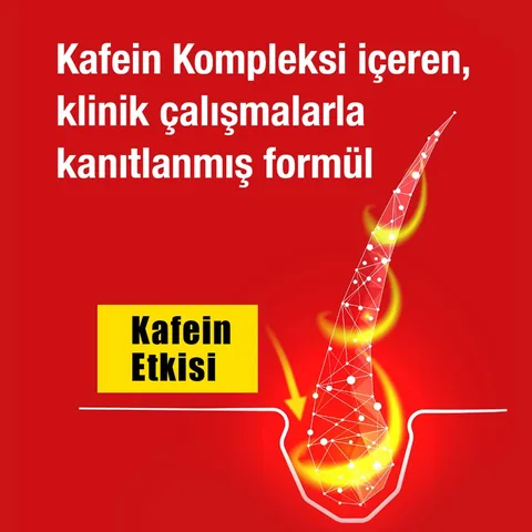 Alpecin Caffeine Shampoo 250 ml.