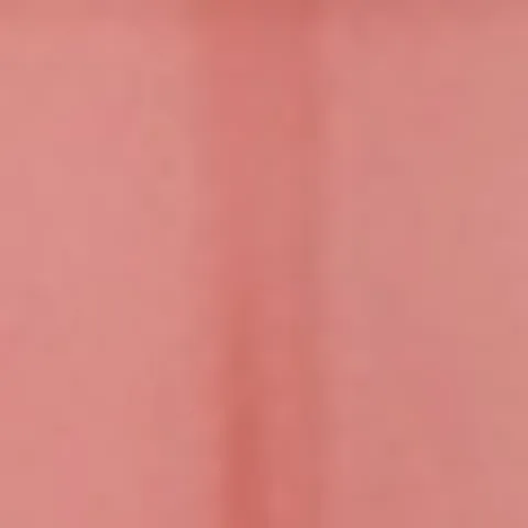 Beaulis Plump It Lip Gloss 534 Rose