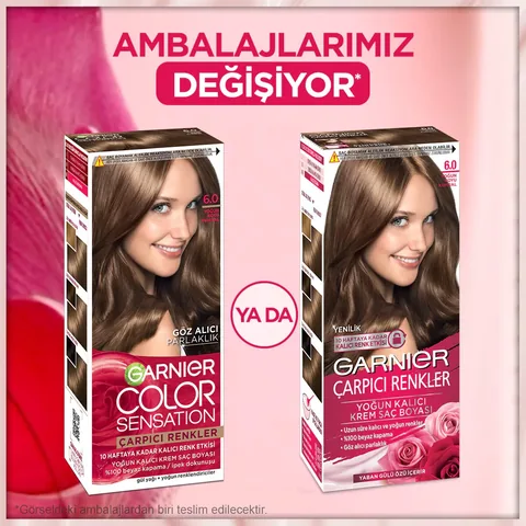 Garnier صبغة شعر غارنييه كولور ناتشرالز بألوان جذابة رقم 6.0 صبغة شعر أشقر داكن مكثف، قطعة واحدة