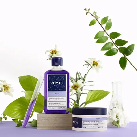 Erleben Sie kühle Töne: Phyto Violet Purple Anti-Gelbstich M