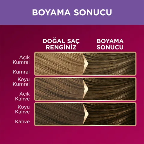 Palette صبغة شعر باليت ديلوكس أشقر نبيل رقم: 7-1 50 مل