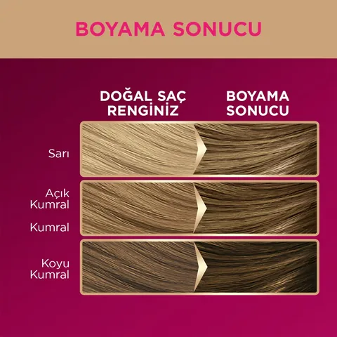 Palette صبغة شعر باليت ديلوكس أشقر رقم 7-0 50 مل