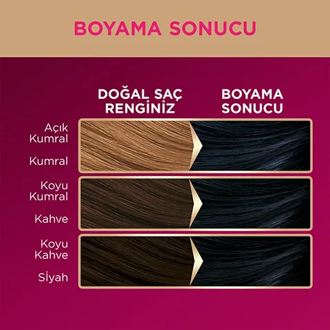 Palette صبغة شعر باليت ديلوكس 1-1 أزرق منتصف الليل