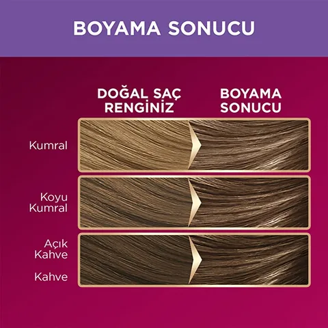 Palette صبغة شعر باليت ديلوكس 7-11 أشقر رمادي