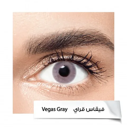 Контактные линзы на 6 месяцев VEGAS GRAY от Anastasia