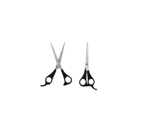 Divina Hair Scissors DIV-0055