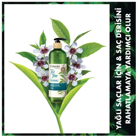 Teebaumöl Shampoo 490ml von Naturals By Watsons | Schuppenpflege