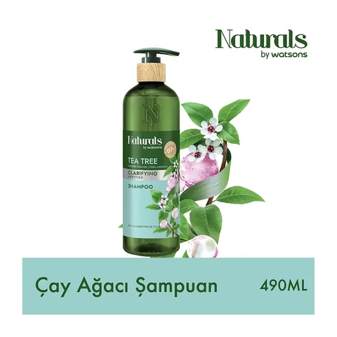 Teebaum Shampoo 490ml von Naturals By Watsons - Reinigend & Erfrischend