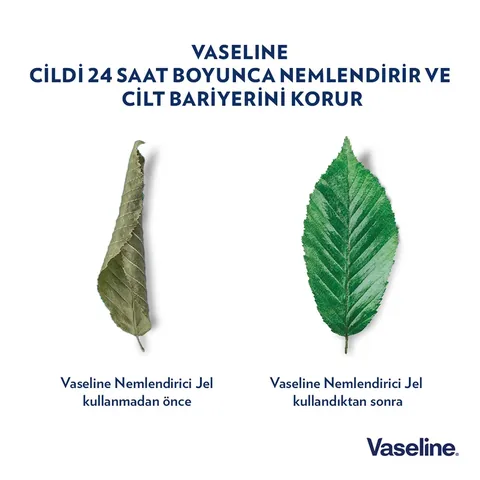 Vaseline جل مرطب فازلين الأصلي 100 مل