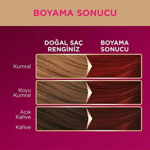 Palette صبغة شعر باليت ديلوكس 5-889 أحمر نبيذي
