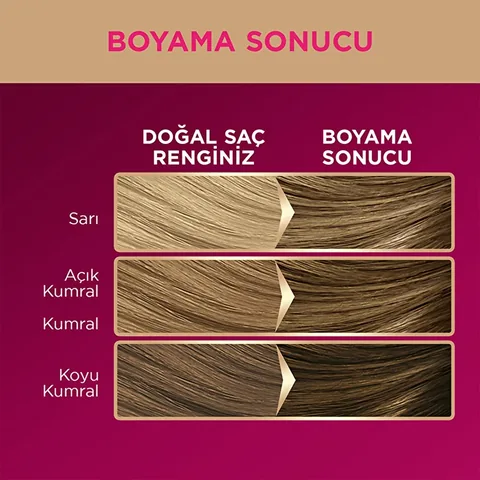 Palette صبغة شعر باليت ديلوكس 7-0 أشقر