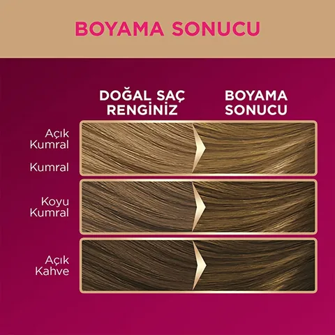 Palette Deluxe Honig Schaum Haarfarbe
