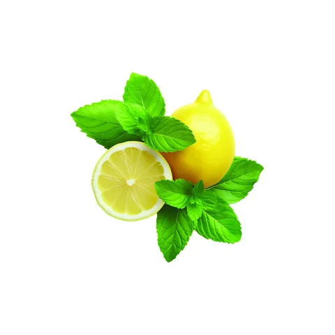 Shot Mouth Wash Lemon And Mint Flavor 20 pcs 15 ml