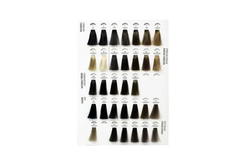 Maxima Hair Dye Gandoya Color No. 6.99 - 100 ml