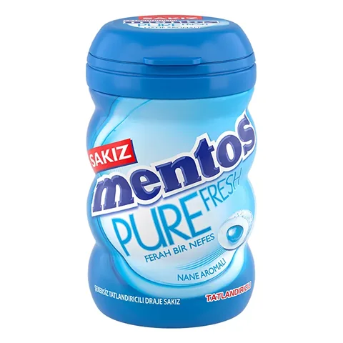 Mentos Pure Fresh Mint Kaugummi 60g