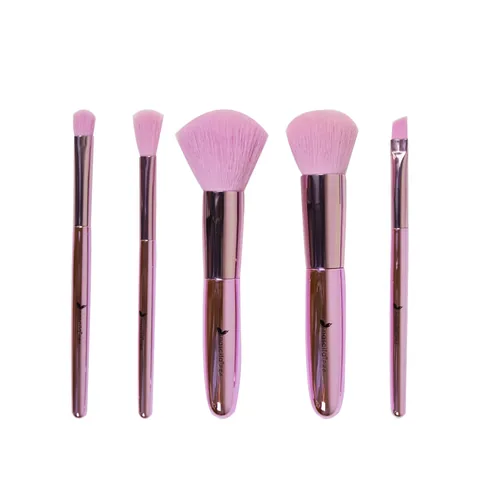 Nascita Reise 5-teiliges kompaktes Make-up-Pinselset
