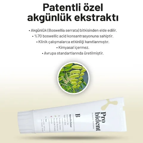 Probident Frankincense Extract-Enriched Toothpaste 75 ml