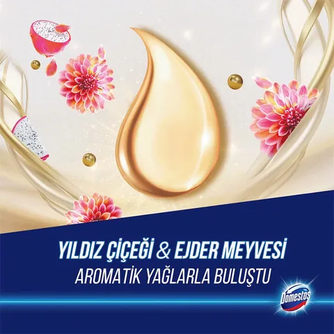 Domestos Toilet Block Aroma Lux Star Flower &amp; Dragon Fruit 2x50 gr