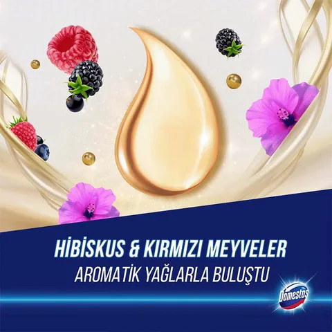 Domestos Toilet Block Aroma Lux Hibiscus &amp; Red Fruits 100 gr