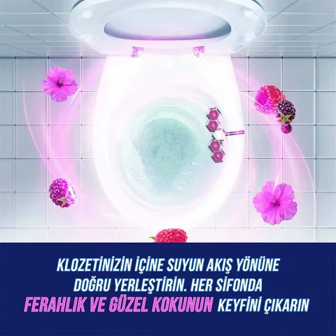 Domestos Toilet Block Aroma Lux Hibiscus &amp; Red Fruits 100 gr