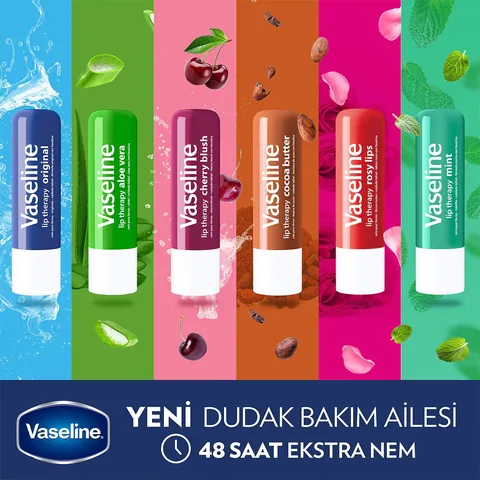 Vaseline Lippenstift Mint Effekt 4,8 g