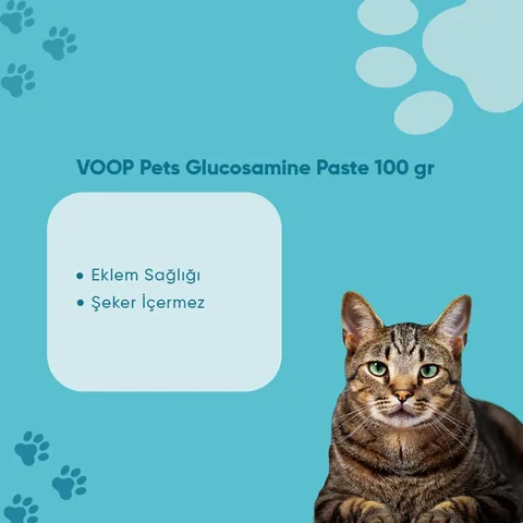 Voop Pet Joint And Muscle Support Malt Paste For Cats 100 gr
