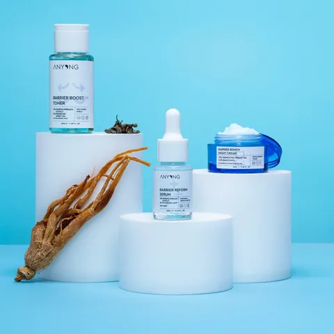 Anyong Barrier Repair Kit 1 pcs