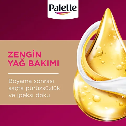 Palette Deluxe Haarfarbe 6-0 Dunkelblond