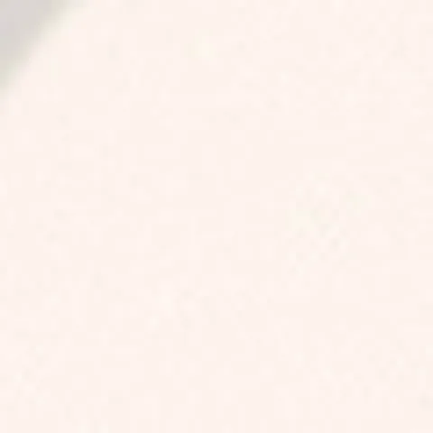 Pastel Profashion Beauty Filter Final Touch Fixing Powder 00