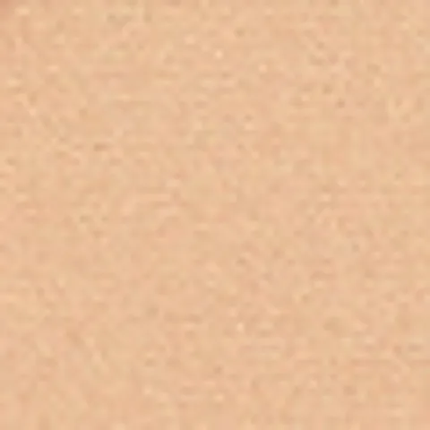 Pastel Profashion Fixing Powder 01 - Shine Control & Blaulichtschutz