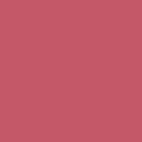 Emily Langzeit Lippenstiftstift 201