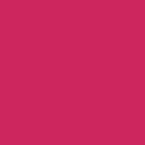 Emily Langzeit Lippenstiftstift 206