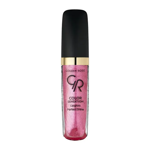 Golden Rose Color Sensation Lipgloss No:110 1 pcs