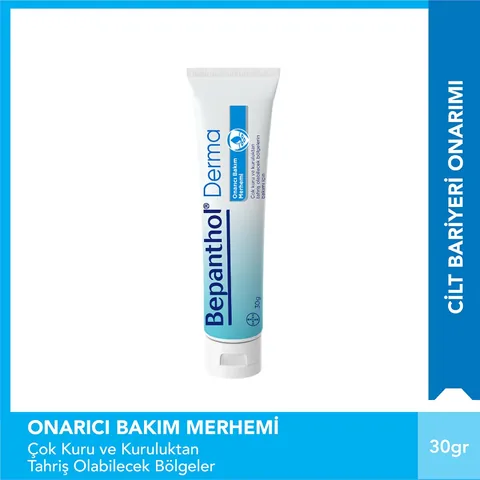 Bepanthol Derma Repair Care Ointment 30 g