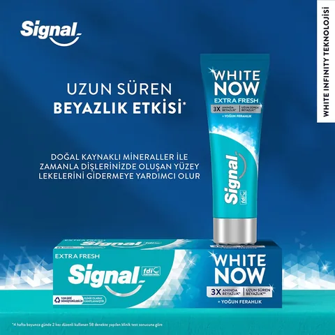 Signal White Now Extra Fresh Toothpaste 75 ml