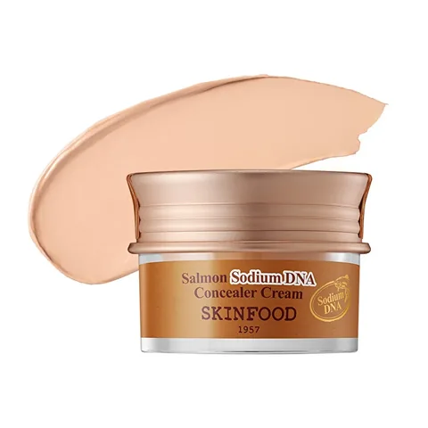 Skinfood Lachs-Natrium-DNA Concealer Nr. 1 - Aufhellende Feuchtigkeit