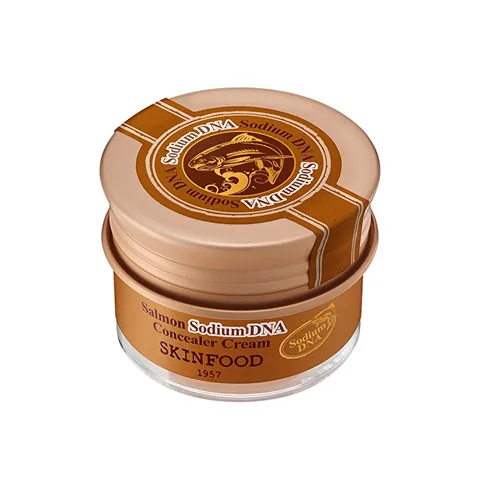 Skinfood سكين فود كونسيلر حمض نووي سلمون صوديوم رقم 1 فانيليا