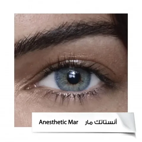Anastasia 6-Month Contact Lenses A.MAR