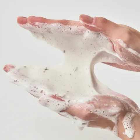 Deep Cleansing Foam for Pores with Quercetinol for Skin by Anwa Birch 150 ml