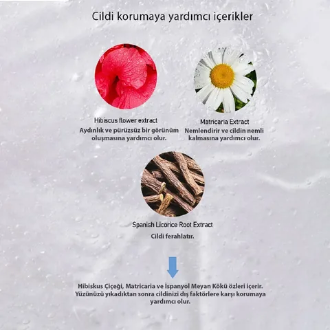 Эшуми Коллаген Чистая Совершенная Пена для Умывания 100 мл