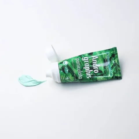 Dentiste Andrographis Paniculata Kräuterzahnpasta 40g