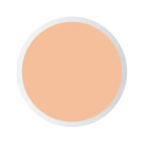 Pastel Profashion Liquid Concealer 103 peach