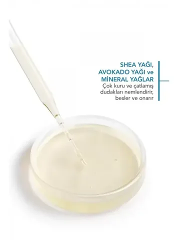 Bioderma مرطب الشفاه بيوديرما اتوديرم 15 مل