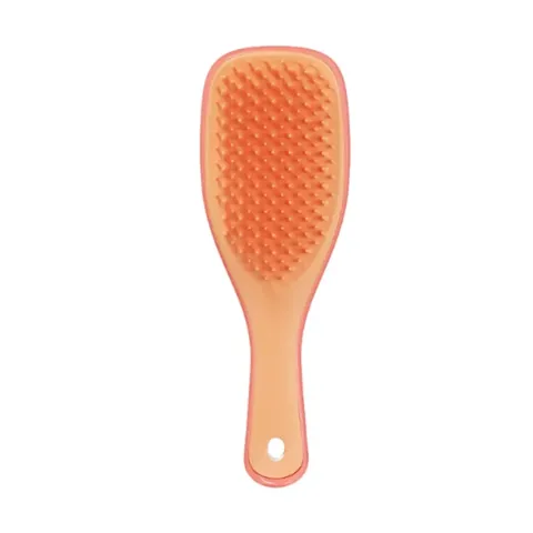 Tangle Teezer Wet Detangler Mini