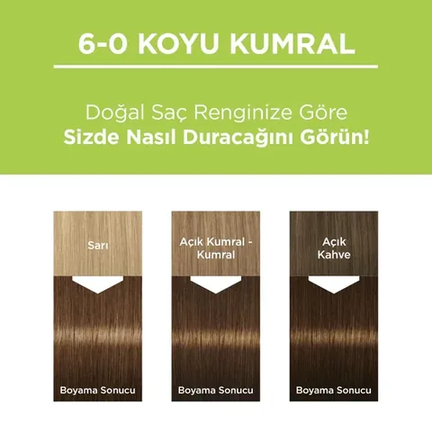 Palette Permanent Natural Colors Hair Dye 6-0 dark Blonde