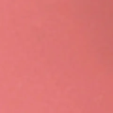 Thebalm Purseworthy Lip Gloss Clutch