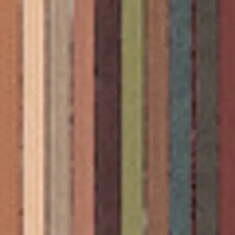Wet N Wild Color Icon 10-pack Eyeshadow Palette Comfort Zone
