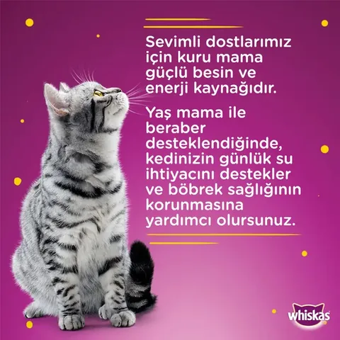 Whiskas Canned Chicken Cat Wet Food 400 gr